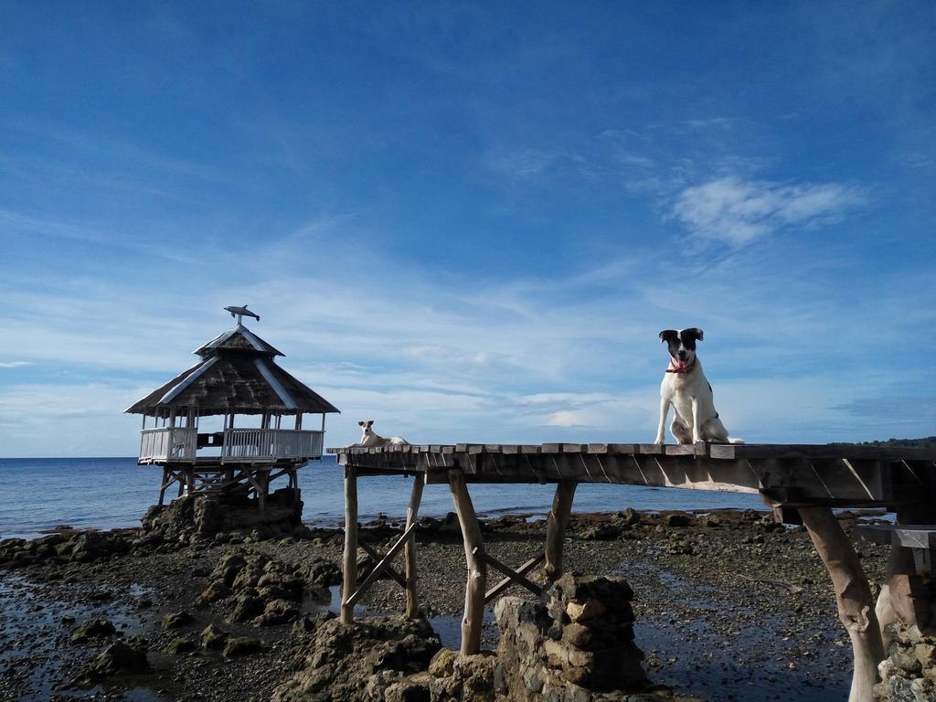Paseo Del Mar Seaside Inn Jagna Eksteriør bilde